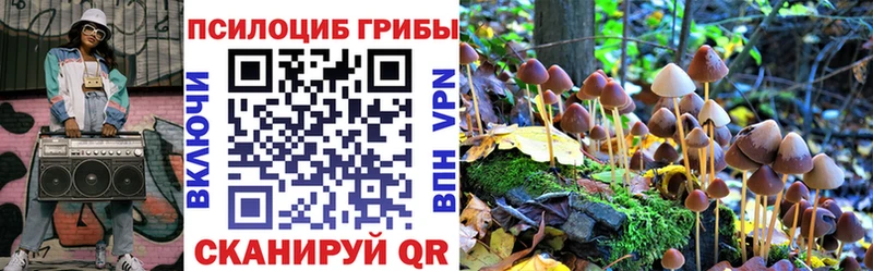 Галлюциногенные грибы мухоморы  купить наркотики сайты  Щёлкино 